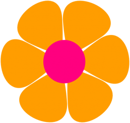 Gold and Pink Flower